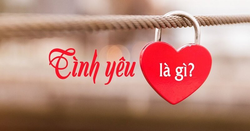Tình Cảm Là Gì? Có Bao Nhiêu Tình Cảm?
